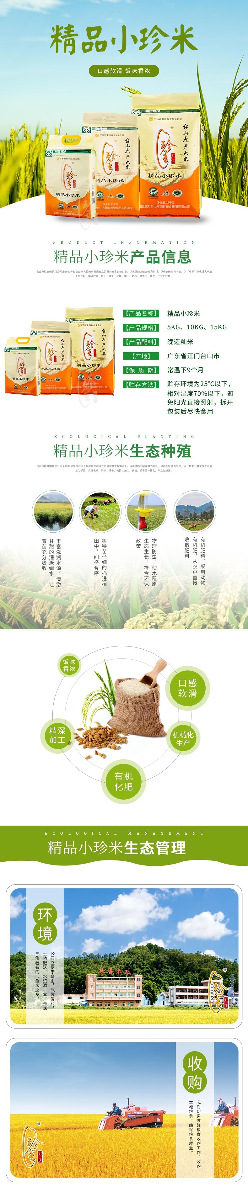 精1.jpg